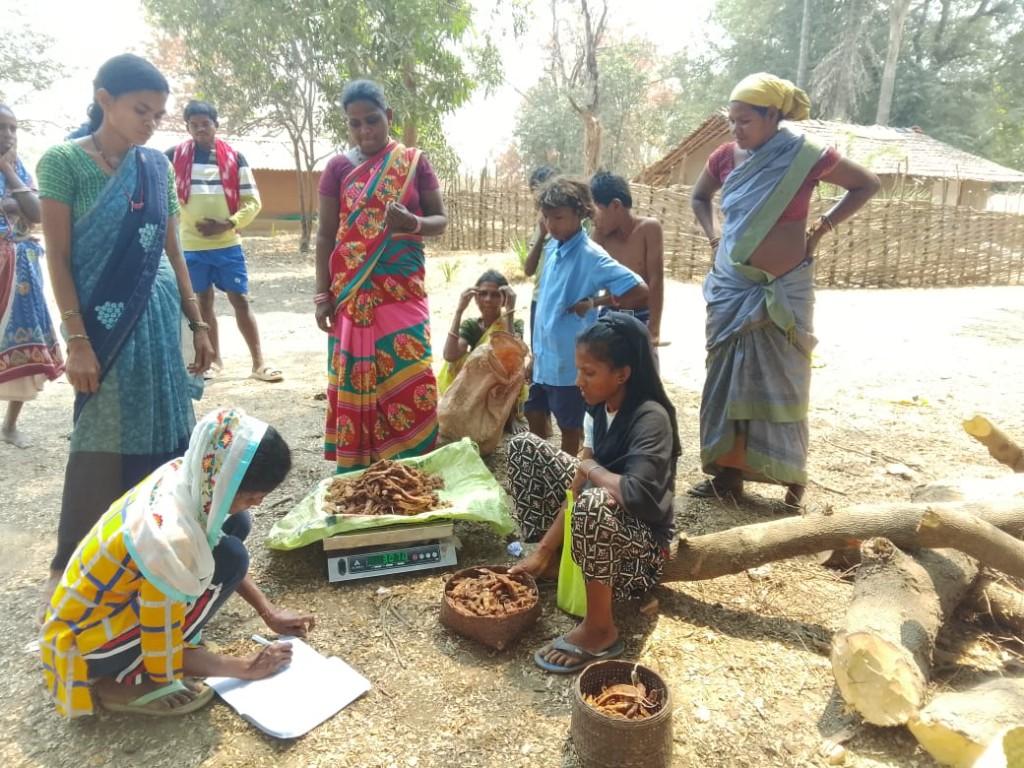 Bastar tamarind collection — community harvest weighing at village collection point, Chhattisgarh