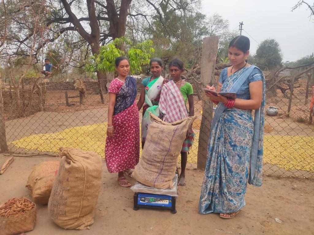 Chhattisgarh tamarind collection — recorded burlap sack weights for traceable Bastar tamarind supply